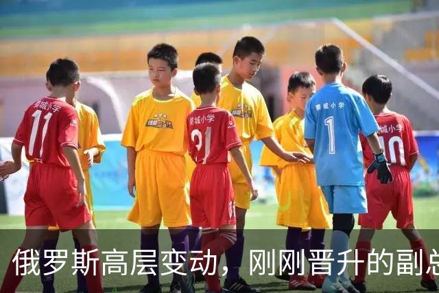 俄罗斯高层变动，刚刚晋升的副总理，接过了普京的“尚方宝剑”