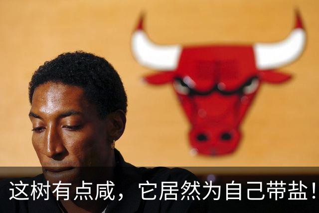 这树有点咸，它居然为自己带盐！古人没盐了就找这种树救急！