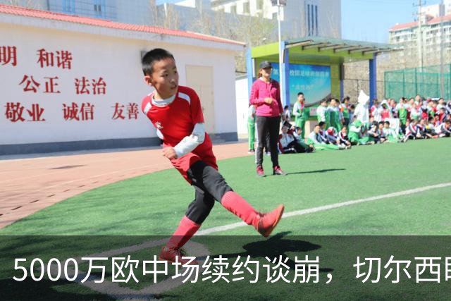 5000万欧中场续约谈崩，切尔西盯上布莱顿23岁瑞典国脚